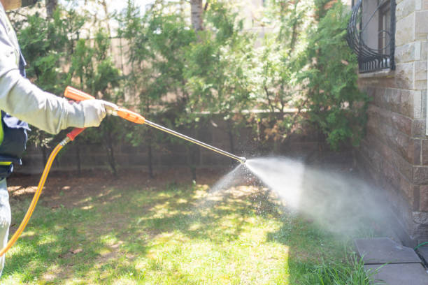 Best Rat Extermination Near Me  in Gilroy, CA