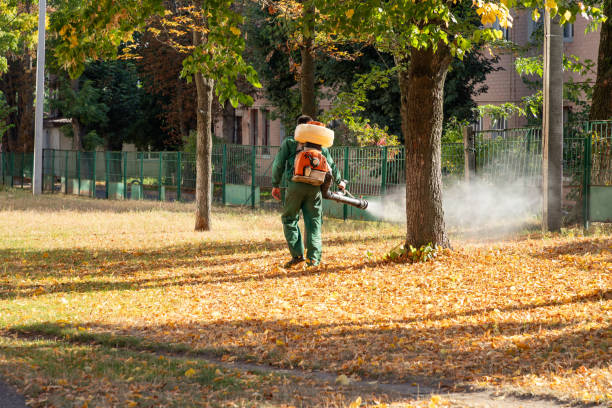 Best Pest Prevention Services  in Gilroy, CA