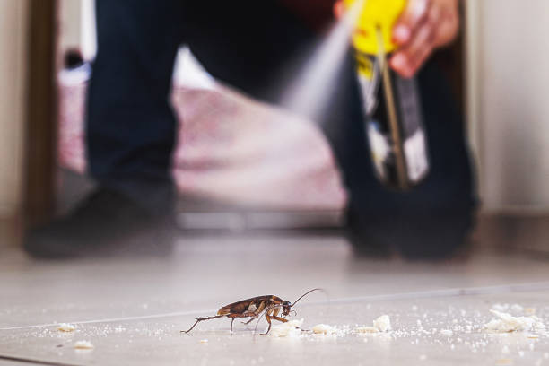Best Mosquito Control Services  in Gilroy, CA