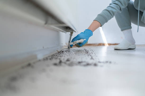 Best Bed Bug Extermination  in Gilroy, CA